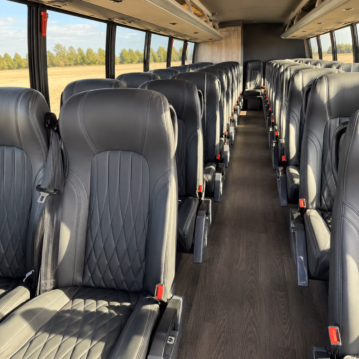 san marcos wine tour brewery transportation onboard seating